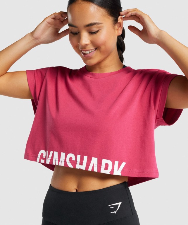 Sudaderas Gymshark Fraction Crop Top Rosas | E4LGKEkX2Jt