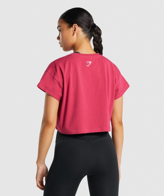 Sudaderas Gymshark Fraction Crop Top Rosas | fwWjemaiwsO