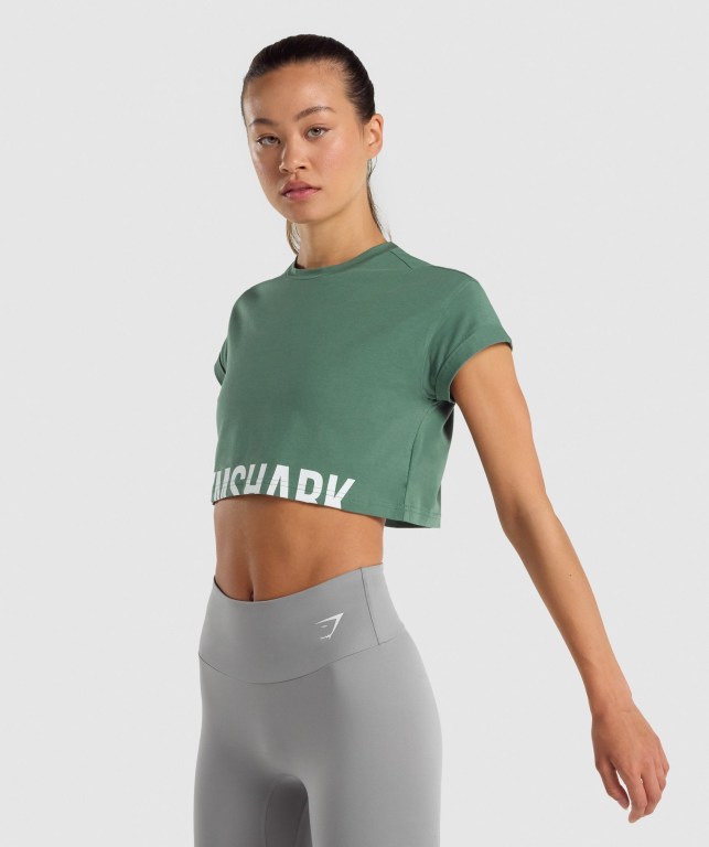 Sudaderas Gymshark Fraction Crop Top Verde | KPhTJ8BtypG