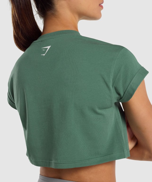 Sudaderas Gymshark Fraction Crop Top Verde | KPhTJ8BtypG