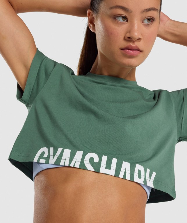 Sudaderas Gymshark Fraction Crop Top Verde | KPhTJ8BtypG