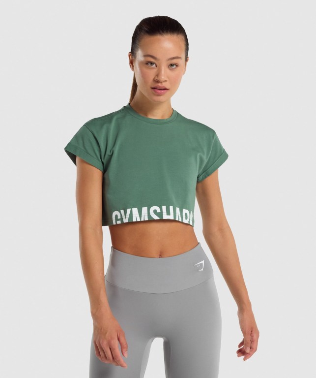 Sudaderas Gymshark Fraction Crop Top Verde | KPhTJ8BtypG