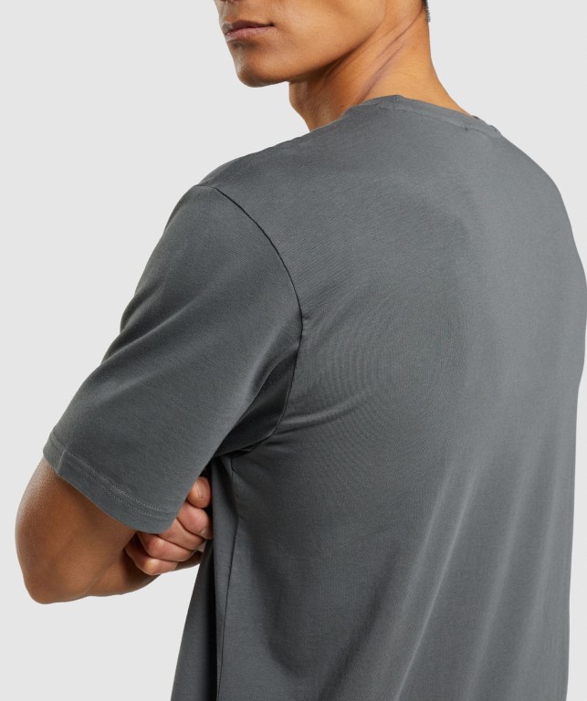 Sudaderas Gymshark Sharkhead Infill Gris | QsoDtCXGQr4