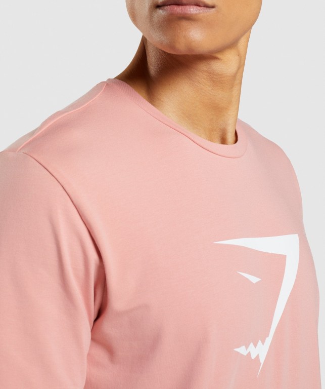 Sudaderas Gymshark Sharkhead Infill Rosas | wFlEi5psPcH