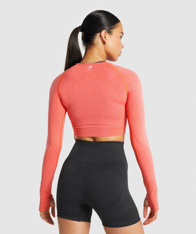 Sudaderas Gymshark Vital Seamless 2.0 Crop Top Naranjas | PQe88lEGJzf