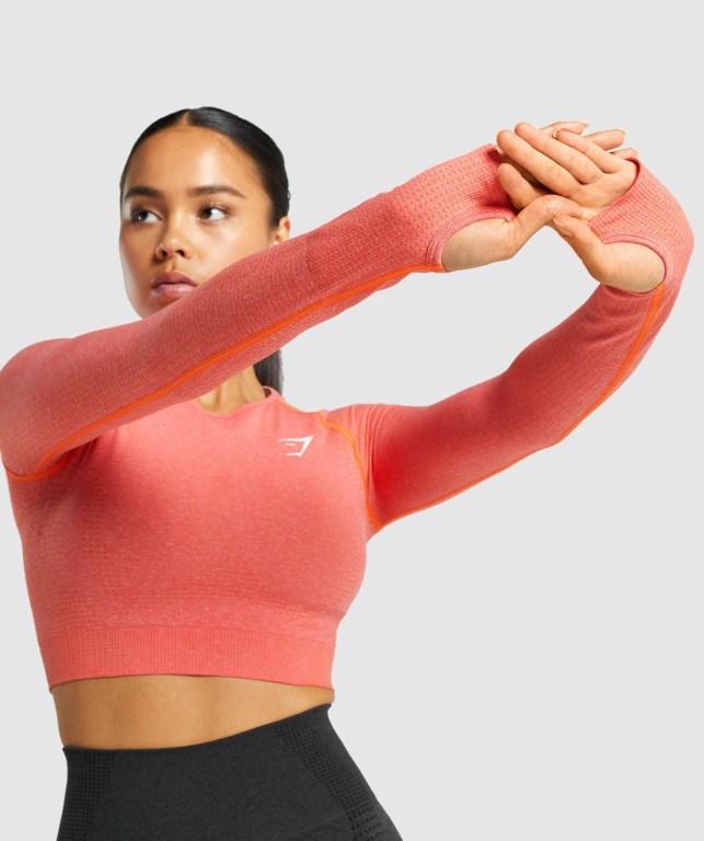 Sudaderas Gymshark Vital Seamless 2.0 Crop Top Naranjas | PQe88lEGJzf