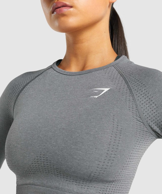 Sudaderas Gymshark Vital Seamless 2.0 Crop Top Gris | iOOvUE4bEJV