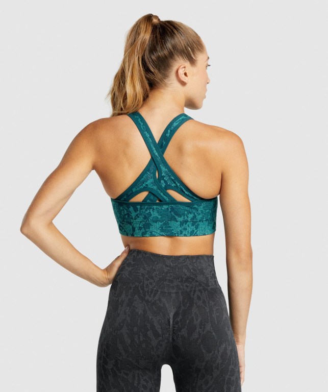 Sujetadores Deportivos Gymshark Adapt Animal Seamless Sports Bra Turquesa | oMrZDGtmfEf