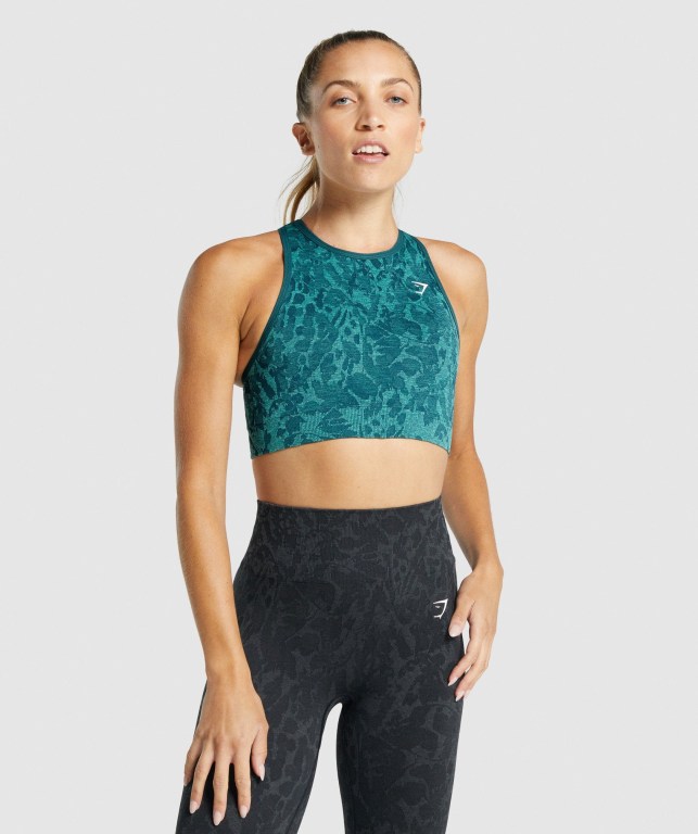 Sujetadores Deportivos Gymshark Adapt Animal Seamless Sports Bra Turquesa | oMrZDGtmfEf