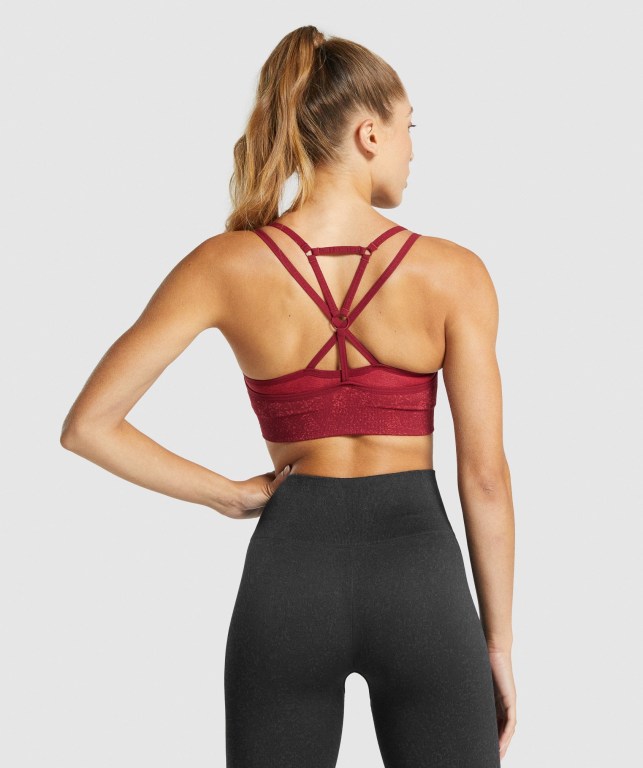 Sujetadores Deportivos Gymshark Adapt Fleck Seamless Sports Bra Burdeos | 9iPNpXvuumw