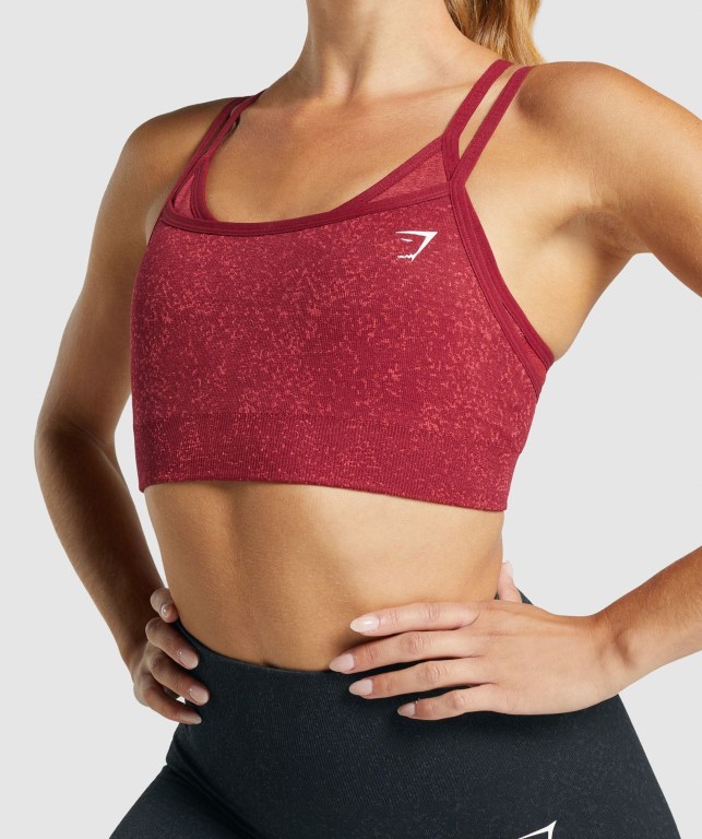 Sujetadores Deportivos Gymshark Adapt Fleck Seamless Sports Bra Burdeos | 9iPNpXvuumw