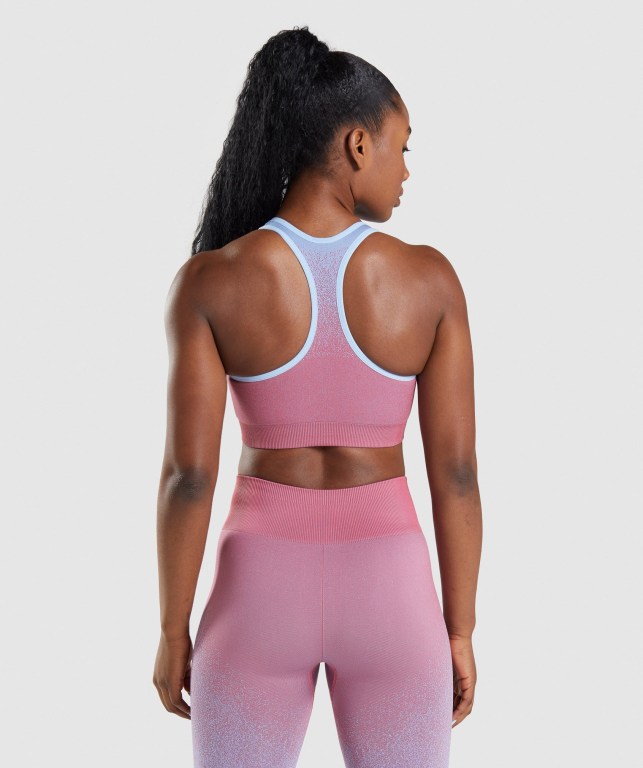 Sujetadores Deportivos Gymshark Adapt Ombre Seamless Sports Bra Rosas Rosas Azules Claro | 7udEWTap9YU