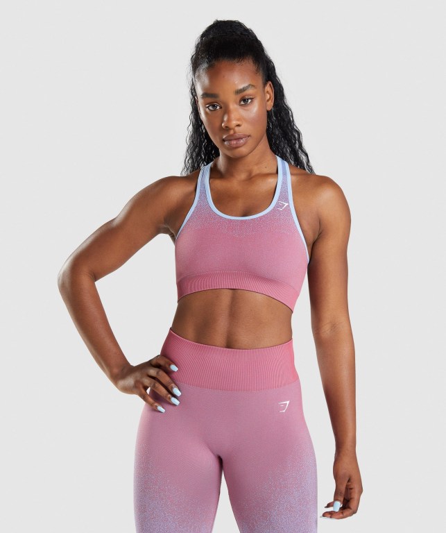 Sujetadores Deportivos Gymshark Adapt Ombre Seamless Sports Bra Rosas Rosas Azules Claro | 7udEWTap9YU