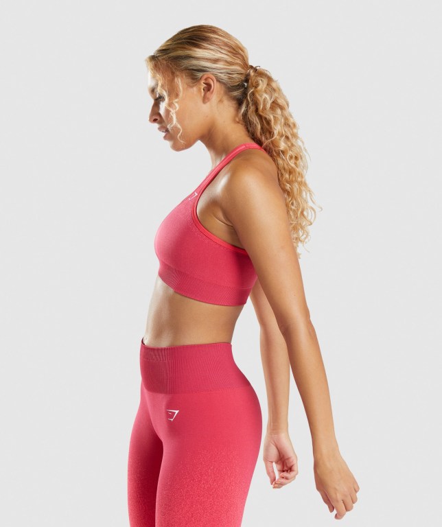 Sujetadores Deportivos Gymshark Adapt Ombre Seamless Sports Bra Rosas Rojas | ji5EGUSuxoF