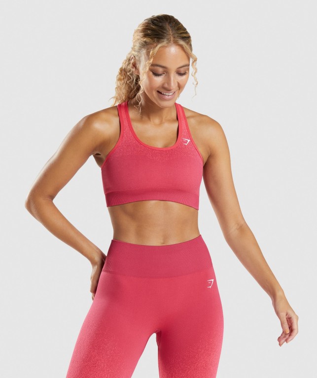 Sujetadores Deportivos Gymshark Adapt Ombre Seamless Sports Bra Rosas Rojas | ji5EGUSuxoF