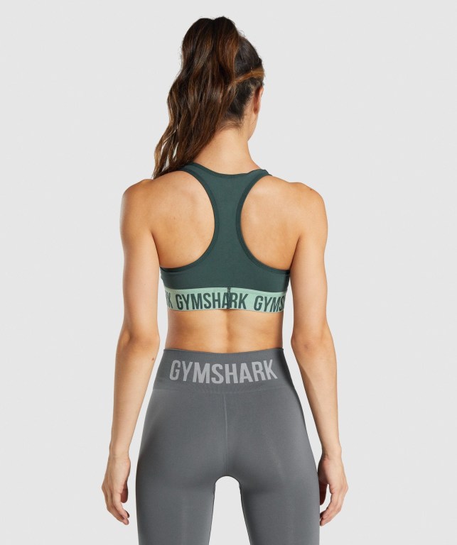 Sujetadores Deportivos Gymshark Fit Seamless Sports Bra Verde | toLZHqehvNT