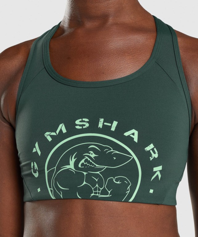 Sujetadores Deportivos Gymshark Legacy Graphic Sports Bra Verde Oscuro | WPP6TNqScvN