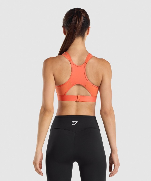 Sujetadores Deportivos Gymshark Mesh Neckline Entrenamiento Sports Bra Naranjas | BfXivZBsRvK