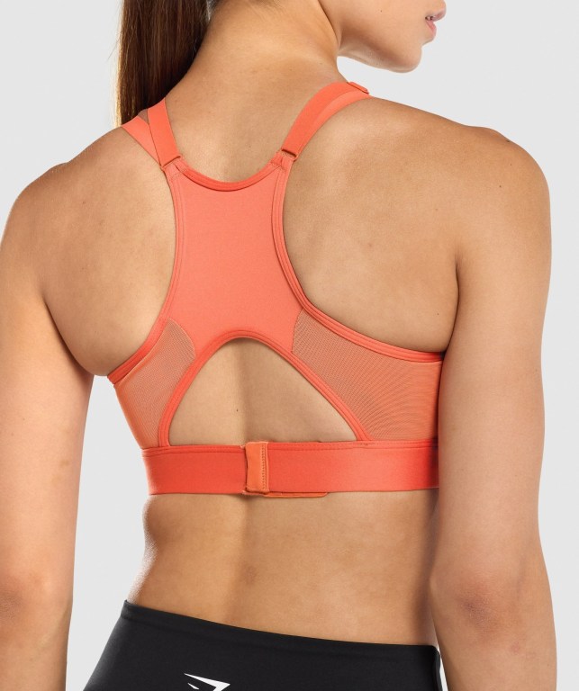 Sujetadores Deportivos Gymshark Mesh Neckline Entrenamiento Sports Bra Naranjas | BfXivZBsRvK