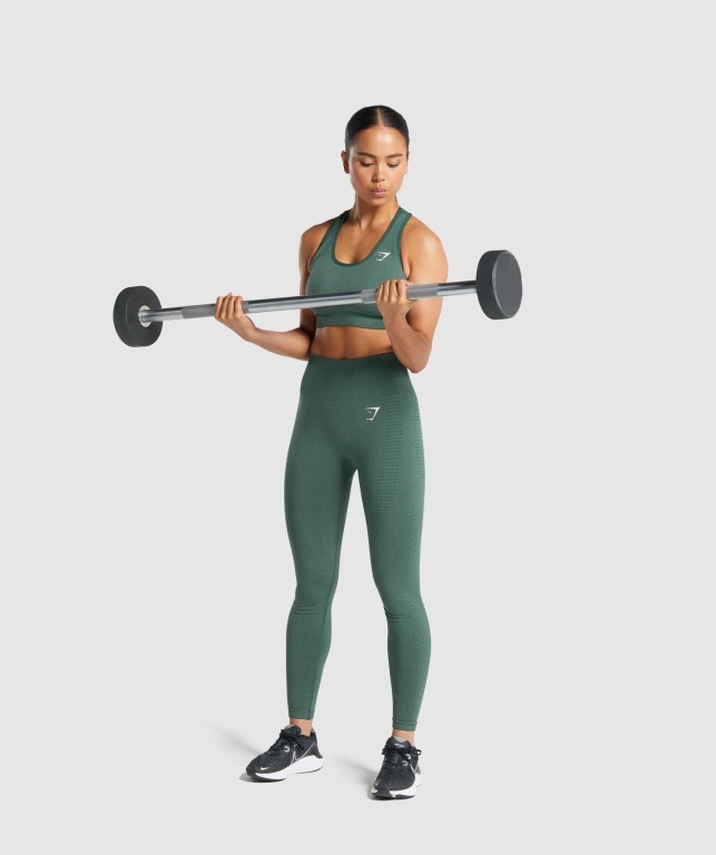 Sujetadores Deportivos Gymshark Vital Seamless 2.0 Sports Bra Verde Oscuro | HVQ4abvvNMM