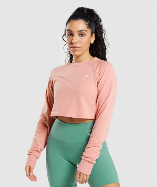 Pullover Gymshark Entrenamiento Cropped Sueter Rosas | NtlqqkeZtJR