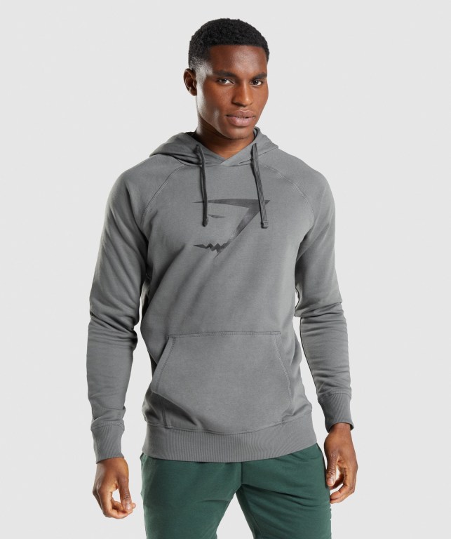 Pullover Gymshark Sharkhead Infill Gris | 3RlQId2XjpP