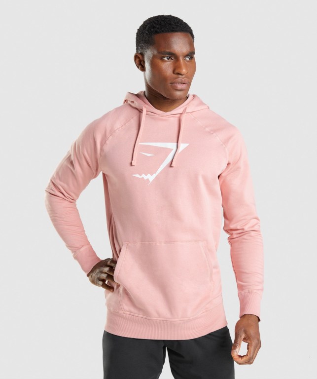 Pullover Gymshark Sharkhead Infill Rosas | ungKn4R7RQ4