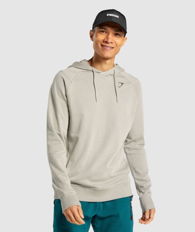 Sudadera Con Capucha Gymshark Bold Gris | hQGEz63Is4M