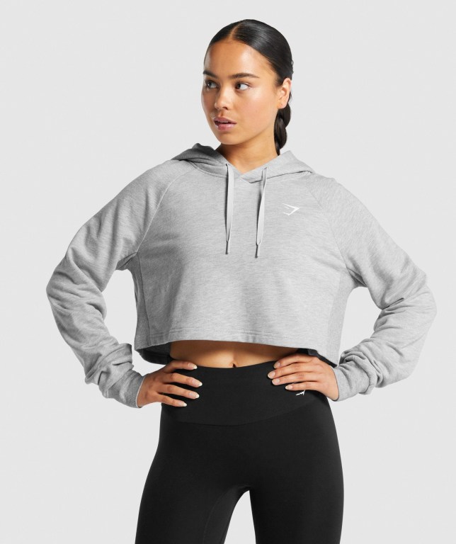 Sudadera Con Capucha Gymshark Entrenamiento Cropped Gris Claro | Dv1Hv8IUvnq