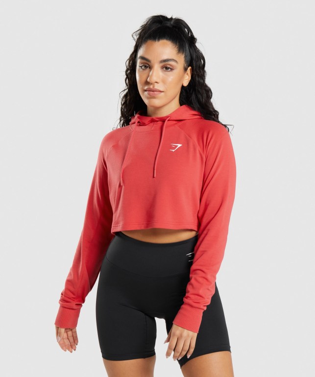 Sudadera Con Capucha Gymshark Entrenamiento Cropped Rojas | iugfGoDWTlj