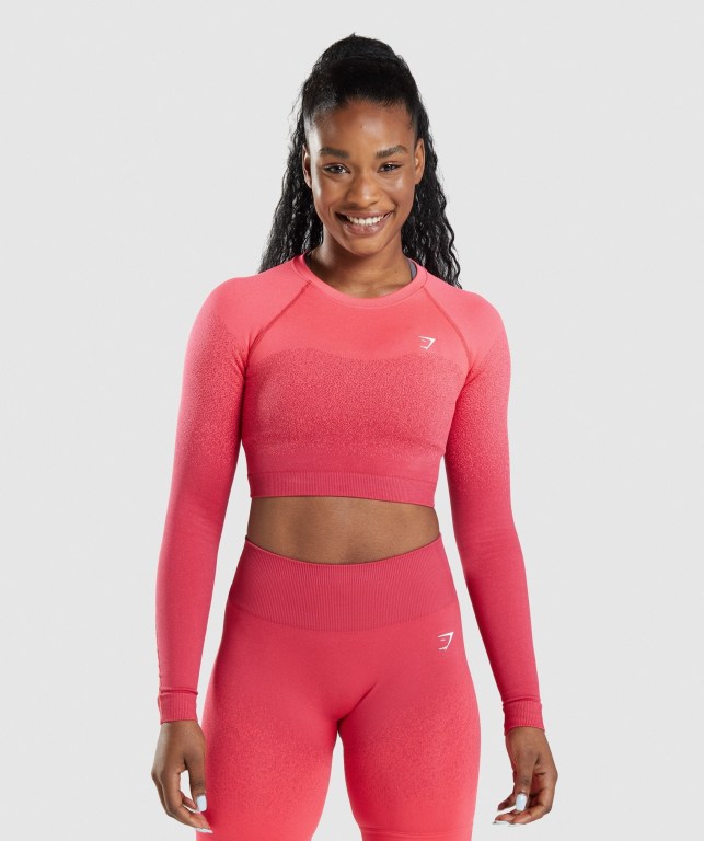 Sudaderas Gymshark Adapt Ombre Seamless Crop Top Rosas Rojas | 74t4Ci9fBA7