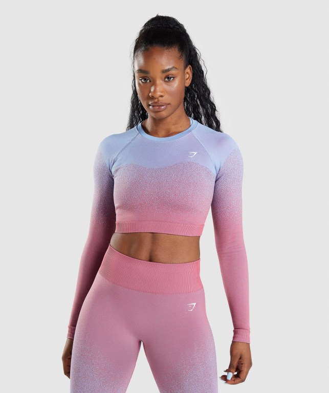 Sudaderas Gymshark Adapt Ombre Seamless Crop Top Rosas Rosas Azules Claro | iYydW9IYwLw