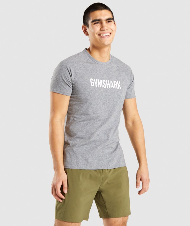 Sudaderas Gymshark Apollo Gris | ZWqn7cpMsm9