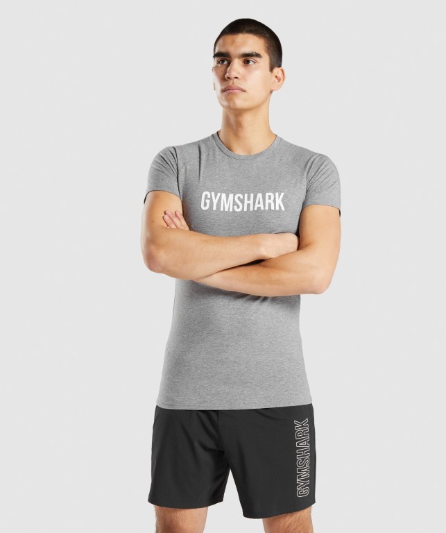 Sudaderas Gymshark Apollo Gris | wMm1cesbtwo