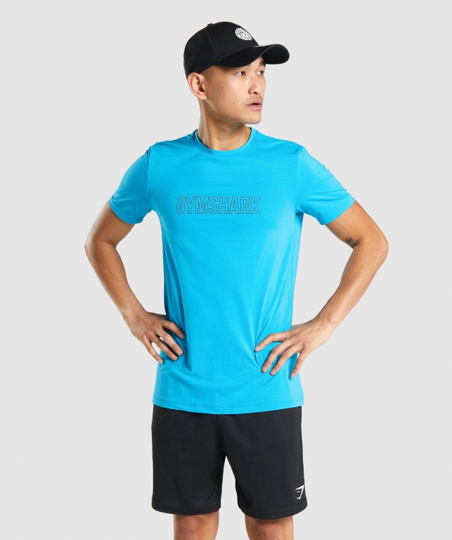 Sudaderas Gymshark Arrival Graphic Azules Claro | fSvmlTZrrU1