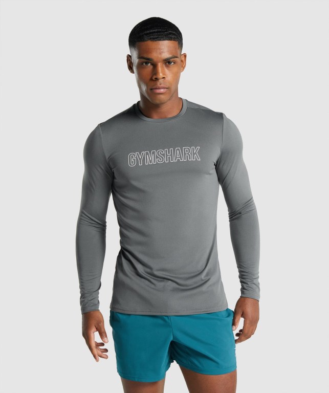 Sudaderas Gymshark Arrival Graphic Gris | gTEvTfHsJyC