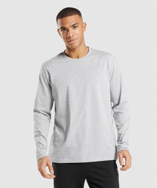 Sudaderas Gymshark Crest Gris Claro | AzHqjymSnLi