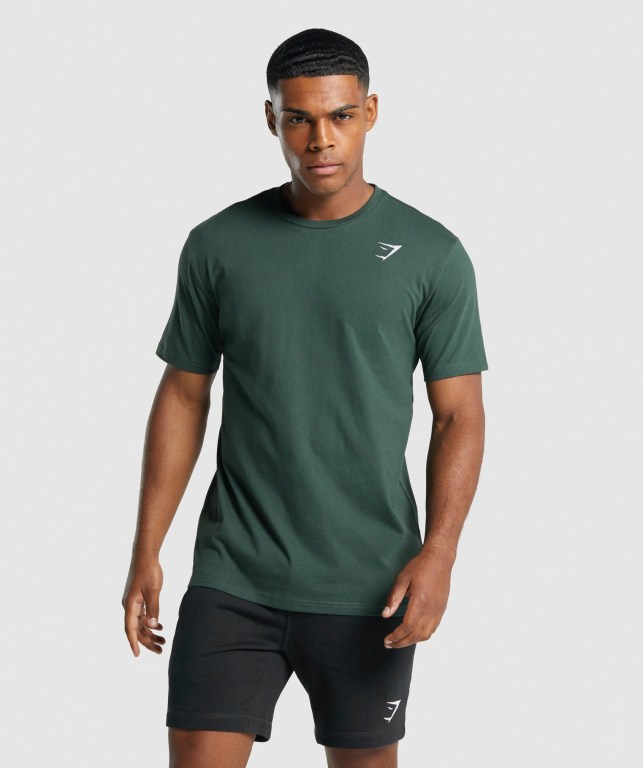 Sudaderas Gymshark Crest Verde Oscuro | M3BrOw2XRZA