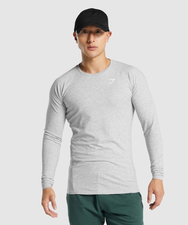 Sudaderas Gymshark Critical 2.0 Gris Claro | 4sURyDfYO4d