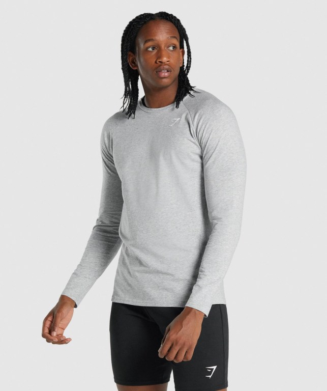 Sudaderas Gymshark Critical 2.0 Gris Claro | 7rw2gx6sjow