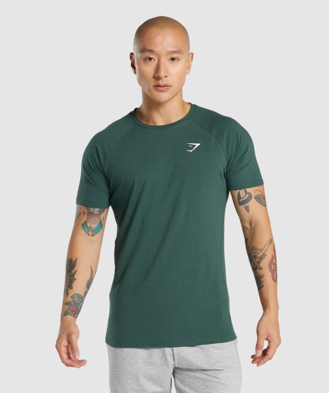 Sudaderas Gymshark Critical 2.0 Verde Oscuro | 6HTObeit4Dx