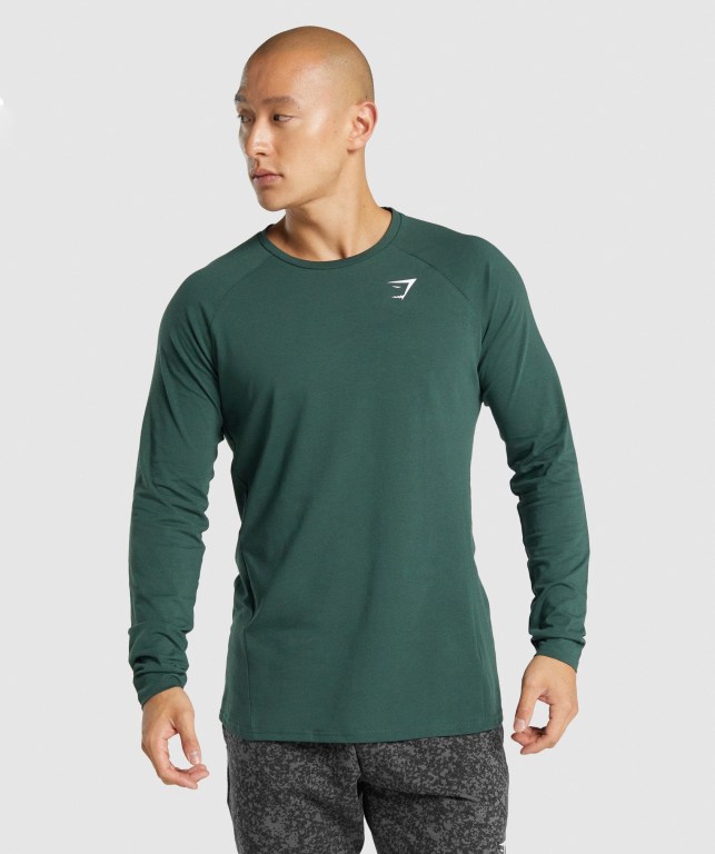 Sudaderas Gymshark Critical 2.0 Verde Oscuro | BGdmB7bsFh7