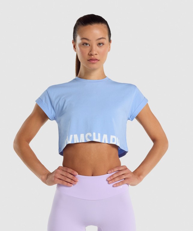 Sudaderas Gymshark Fraction Crop Top Azules Claro | 96oJ6Elvade