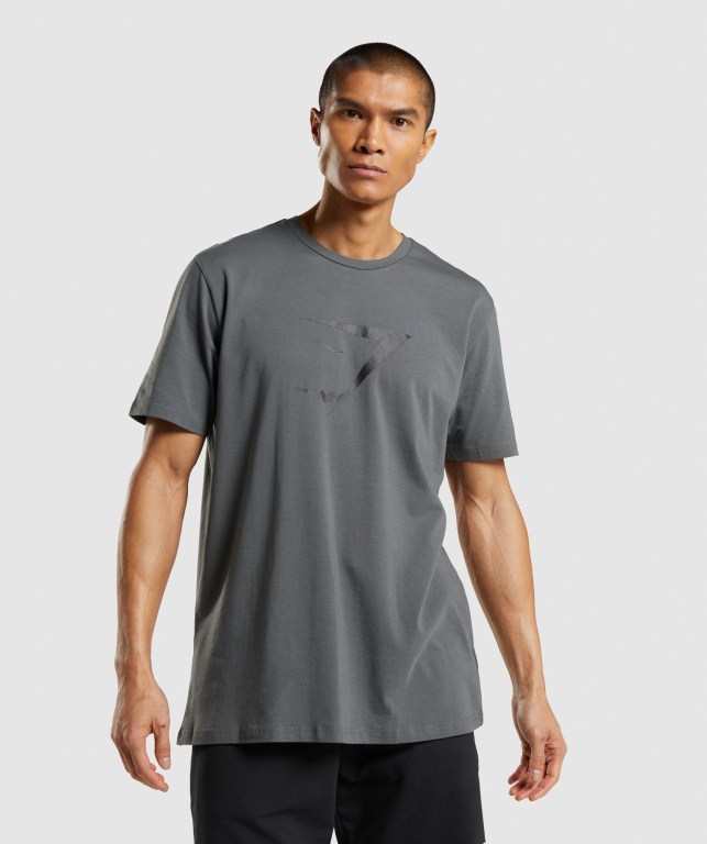 Sudaderas Gymshark Sharkhead Infill Gris | QsoDtCXGQr4