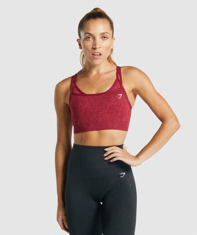 Sujetadores Deportivos Gymshark Adapt Fleck Seamless Sports Bra Burdeos | 9iPNpXvuumw